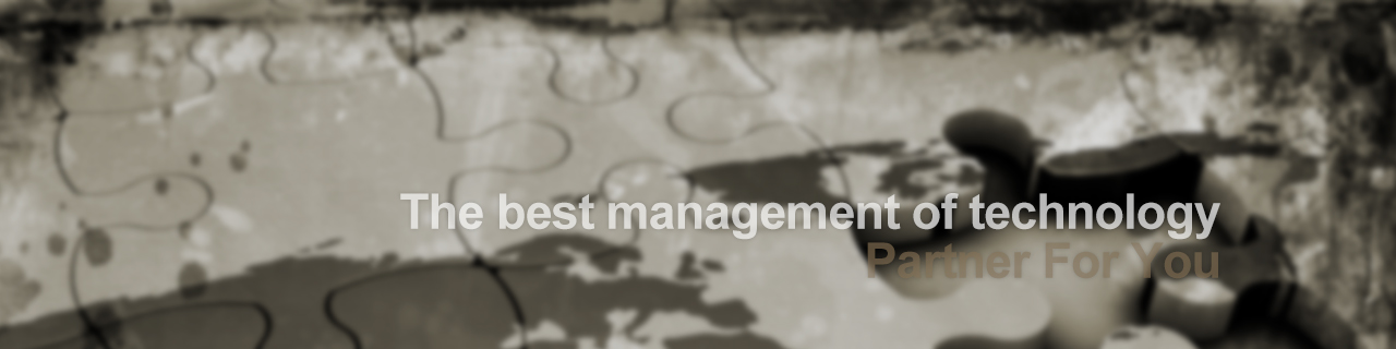 The best management of technology partner for you